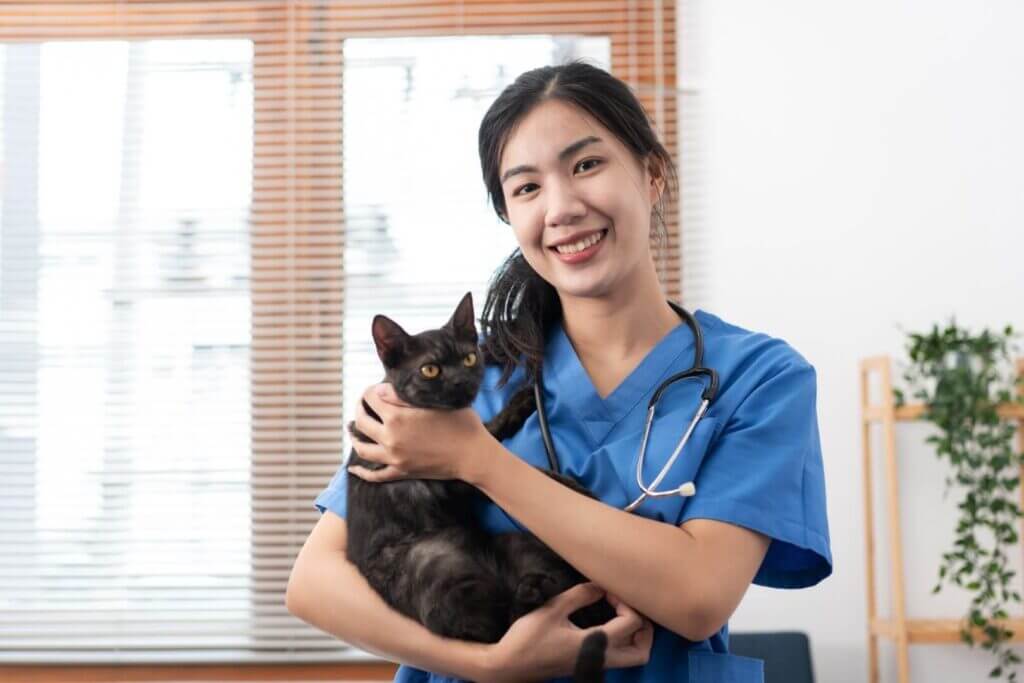 veterinarian woman in blue uniform is playing with 2024 10 16 09 33 34 utc